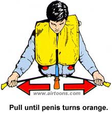 Airline Safety Penis Joke