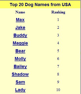 Most Popular Dog Names