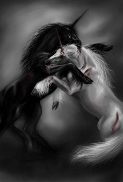 Unicorns Fighting