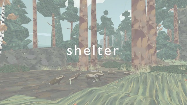 Shelter